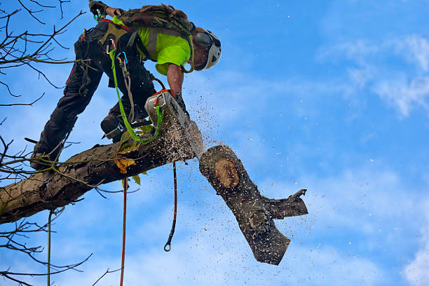 Best Pest Control for Lawns  in Coulee Dam, WA